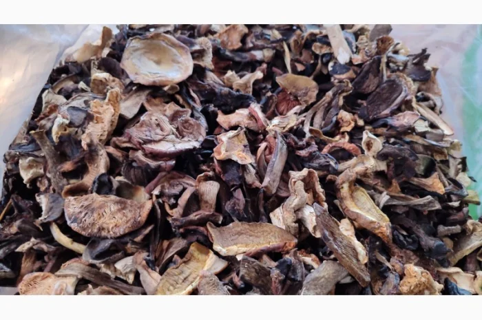 Продаю грибний мікс, сушені гриби різних видів- фото № 3