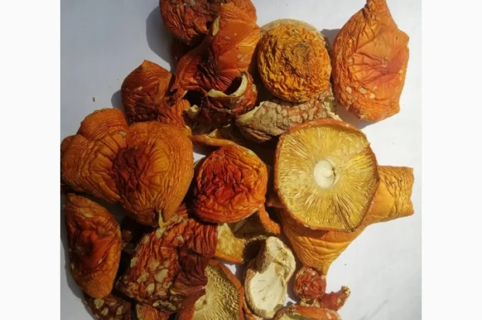 Продажа сушеных мухоморов- фото № 1