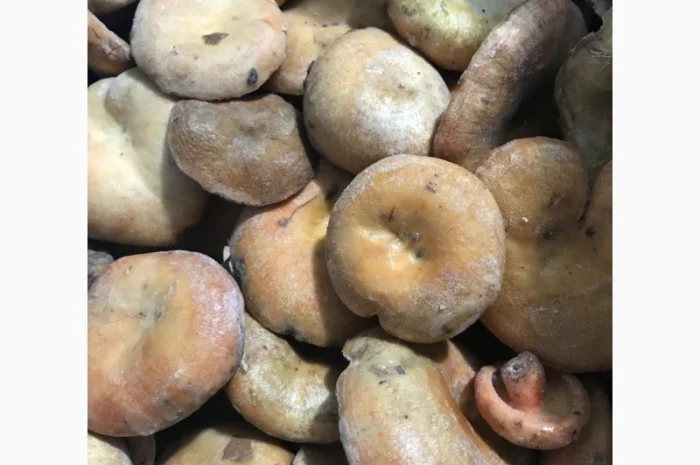 Мікс морожених грибів- фото № 3