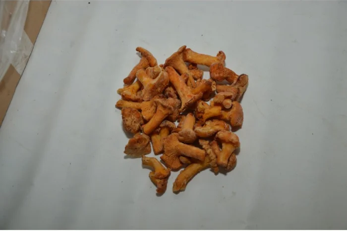 Мікс морожених грибів- фото № 4