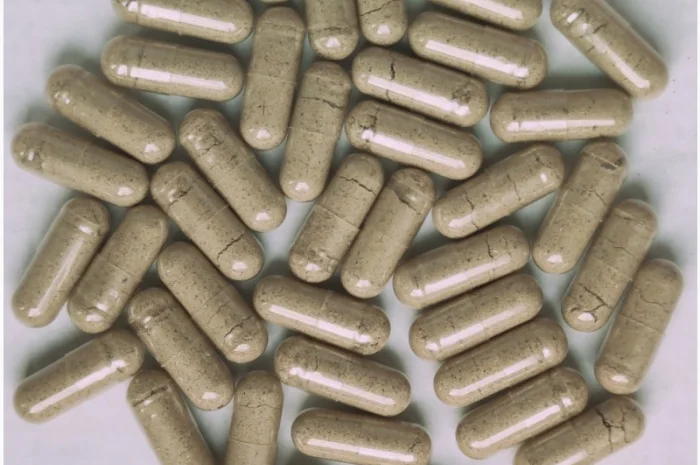 Королівський мухомор в капсулах 60шт. по 0.5г- фото № 1