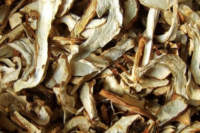 Сушені білі гриби на продаж- фото № 1