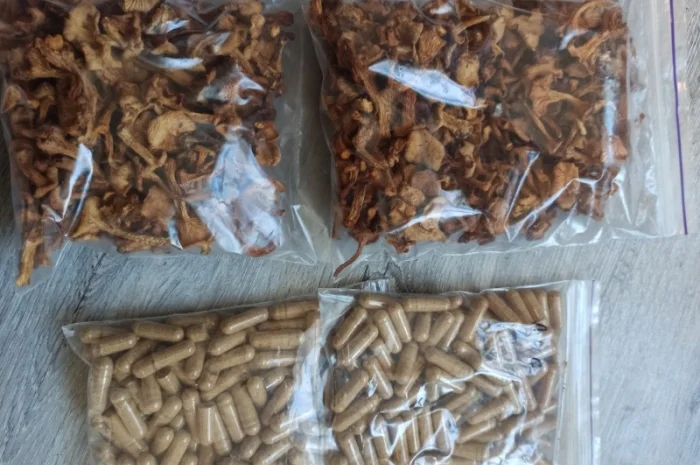 Лікувальні гриби оптом- фото № 3