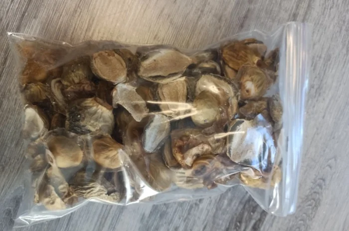 Лікувальні гриби оптом- фото № 4