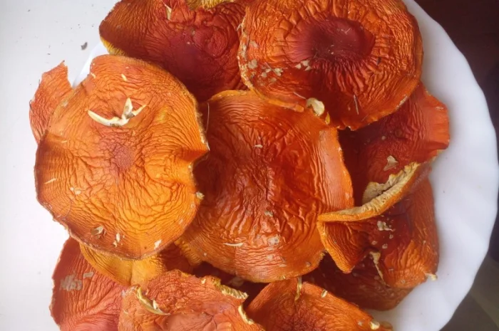 Сушеные шляпы красного мухомора- фото № 1