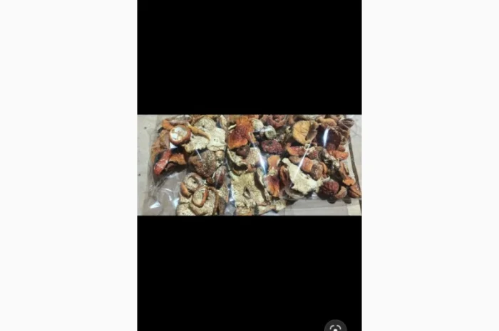 Сушені гриби мухомор на продаж- фото № 2