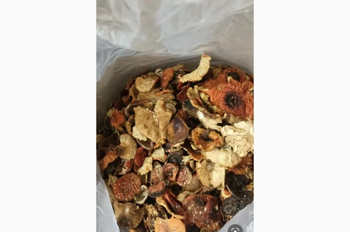 Сушені гриби мухомор на продаж- фото № 3
