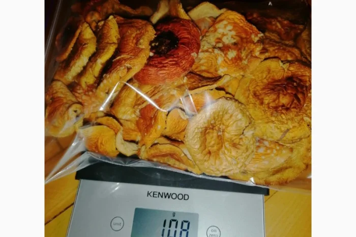 Сушеный Красный Мухомор на продажу- фото № 10