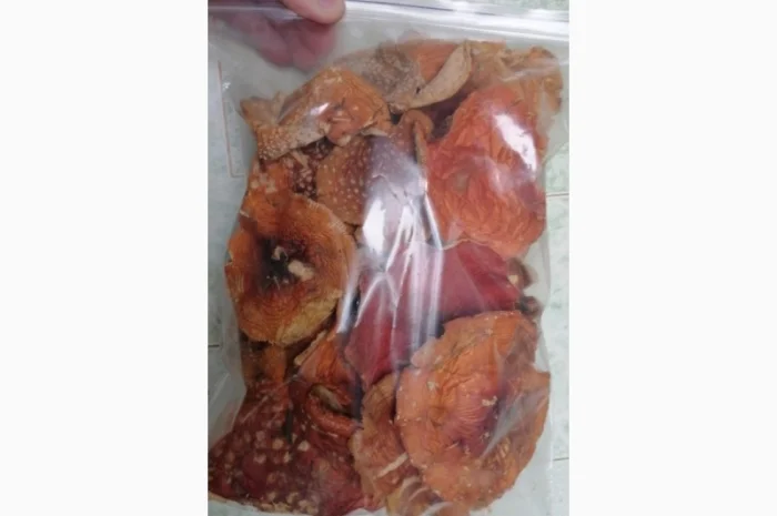 Сушеный Красный Мухомор на продажу- фото № 2