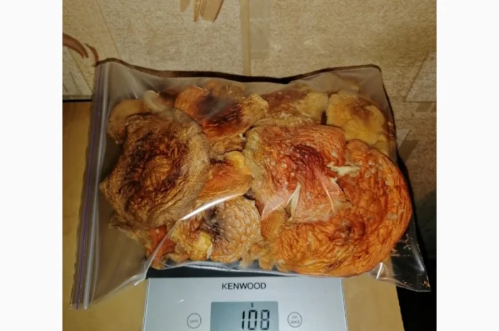 Сушеный Красный Мухомор на продажу- фото № 9