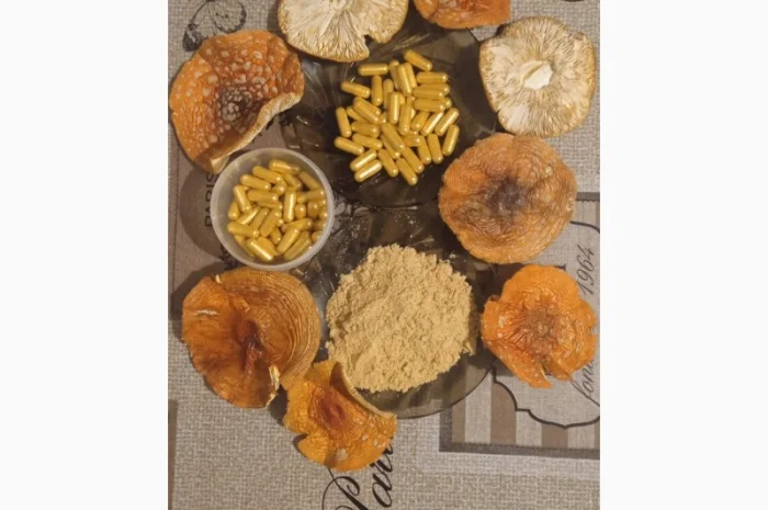 Шляпки червоного мухомору в капсулах на продаж- фото № 1