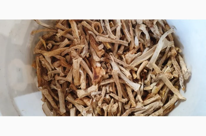 Сушені ніжки червоних мухомор- фото № 1