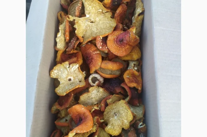 Червоні мухомори мелені на продаж- фото № 1