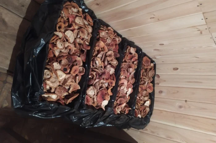 Продаю червоні мухомори- фото № 1