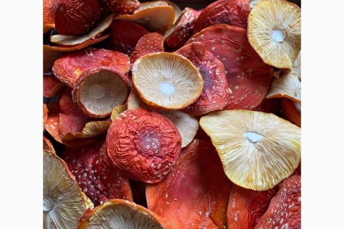 Сушені мухомори, 1-й сорт- фото № 1