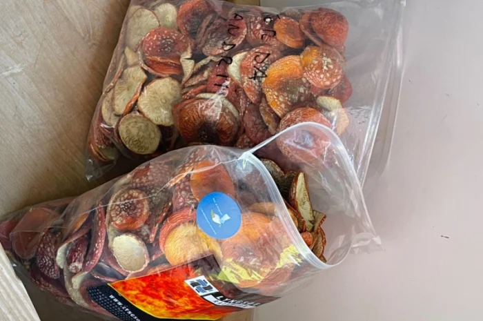 Сушені мухомори, 1-й сорт- фото № 3