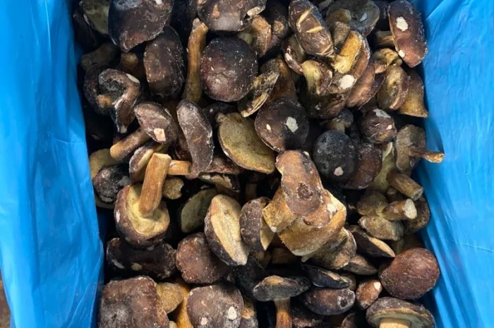 Продам заморожені польські гриби- фото № 1