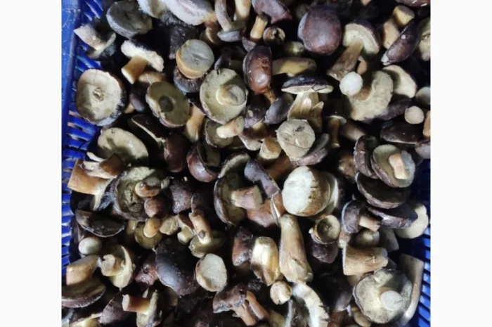Продам заморожені польські гриби- фото № 2