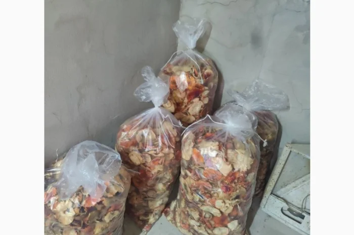 Куплю червоні мухомори мікс 1-2 сорт- фото № 3