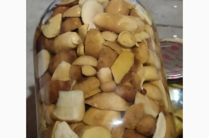 Продам мариновані маслята, опята, білий гриб, сироїжки- фото № 9