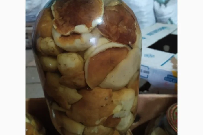 Продам мариновані маслята, опята, білий гриб, сироїжки- фото № 10
