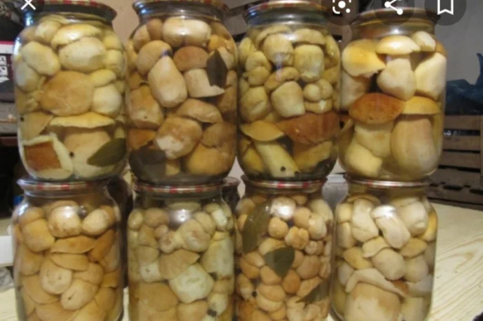 Продам мариновані маслята, опята, білий гриб, сироїжки- фото № 2