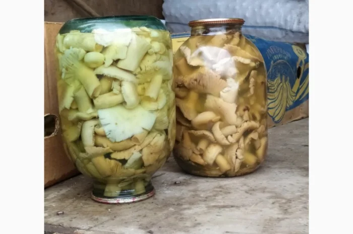 Продам мариновані маслята, опята, білий гриб, сироїжки- фото № 3