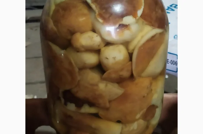 Продам мариновані маслята, опята, білий гриб, сироїжки- фото № 6