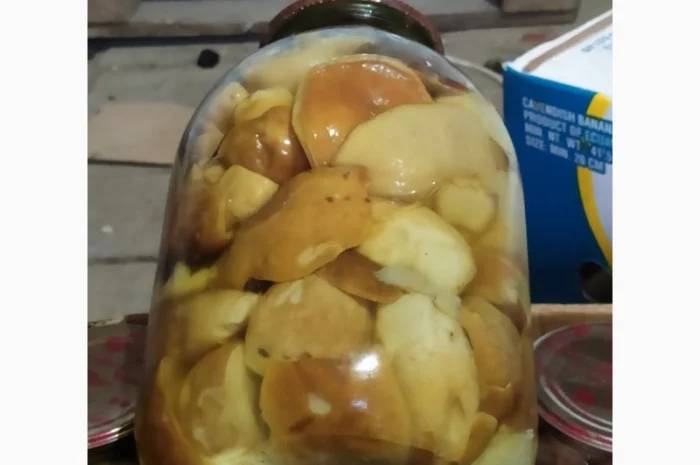 Продам мариновані маслята, опята, білий гриб, сироїжки- фото № 8