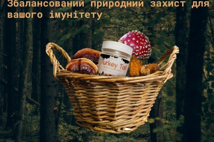 Гриб Траметес різнокольоровий (Trametes versicolor)- фото № 1