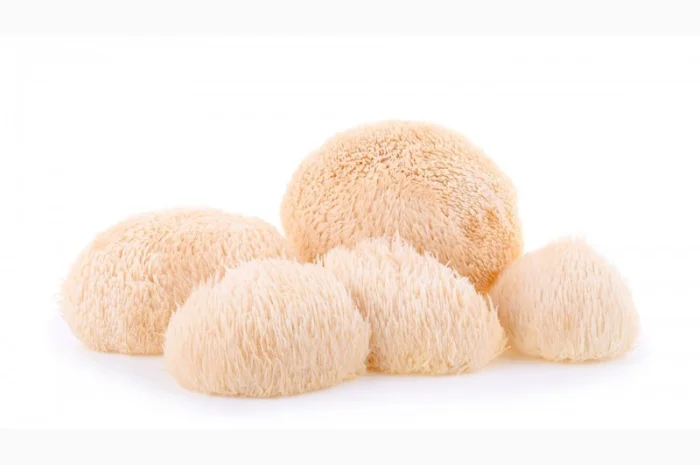 Ежовик гребенчатый для здоровья- фото № 1