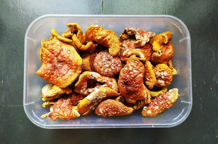 Мухомор червоний сушений: продаж- фото № 1