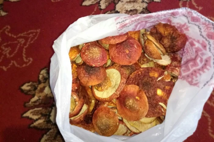 Продаю мухомор червоний, собранный в 2025 году- фото № 1