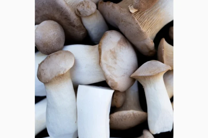 Свежие грибы Еринги- фото № 3