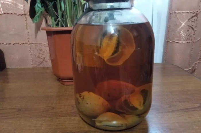 Красный мухомор, Веселка- фото № 2