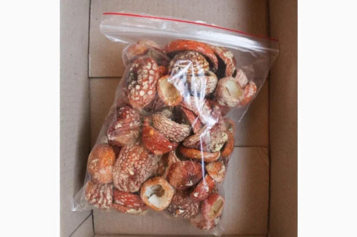 Мухомор Червоний Нерозкриті Капелюшки у вакуумній упаковці- фото № 4