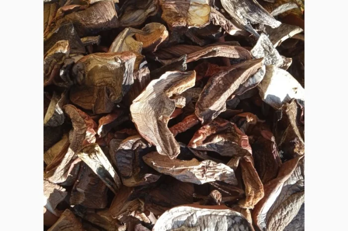 Сухие лесные грибы из Закарпатя подосиновик подберезовик цены указаны за 1 кг- фото № 1