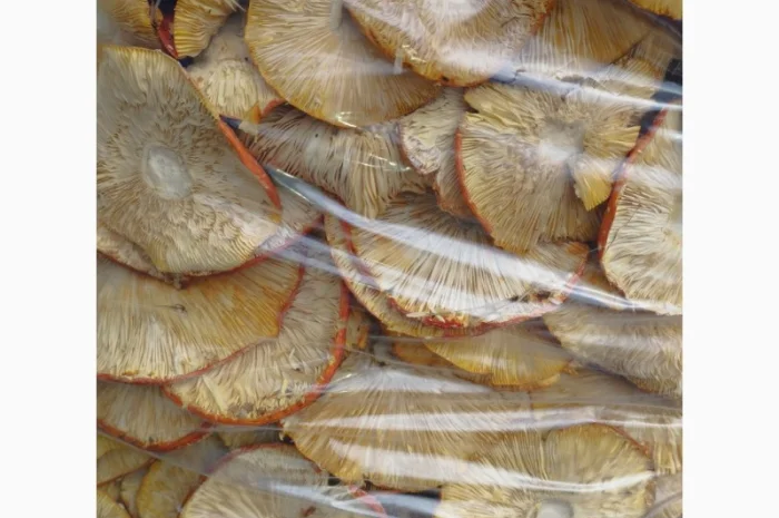 Сушений червоний мухомор 40 кг- фото № 1