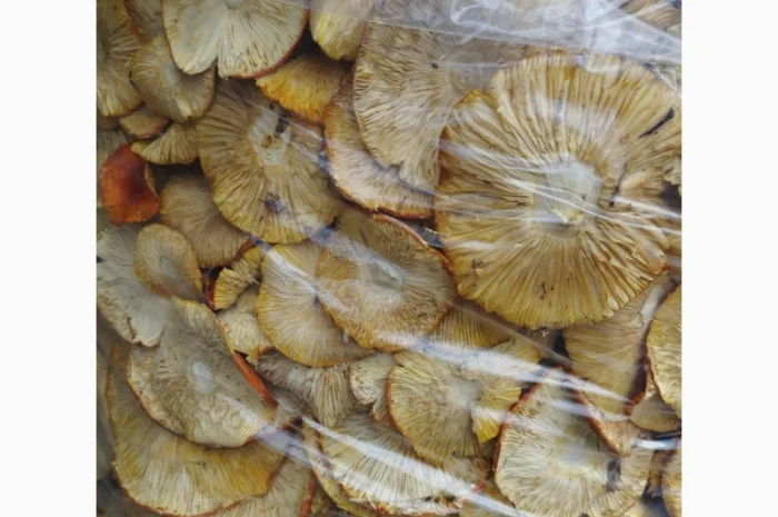 Сушений червоний мухомор 40 кг- фото № 2