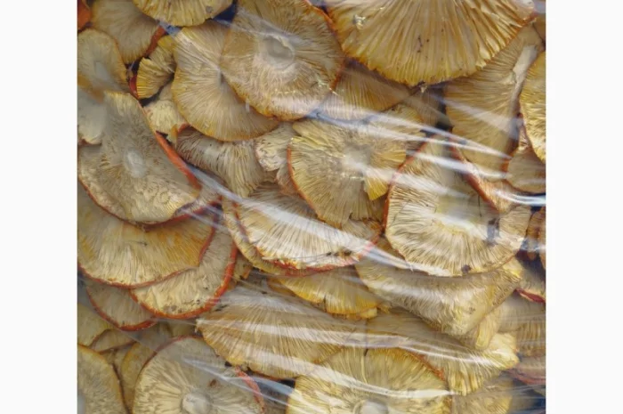 Сушений червоний мухомор 40 кг- фото № 3