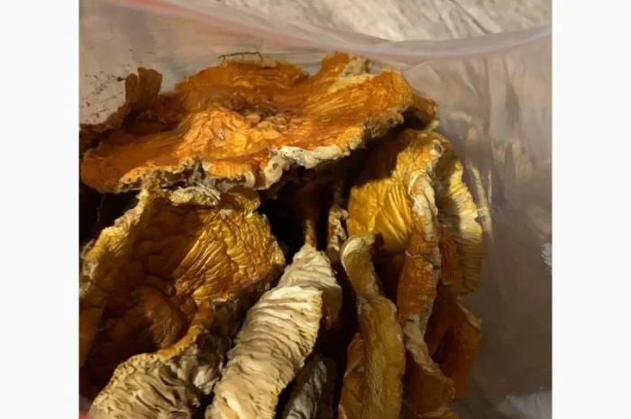 Сушені мухомори сушена шапочка мухомора- фото № 1