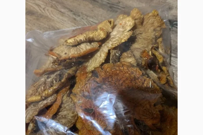 Сушені мухомори сушена шапочка мухомора- фото № 2