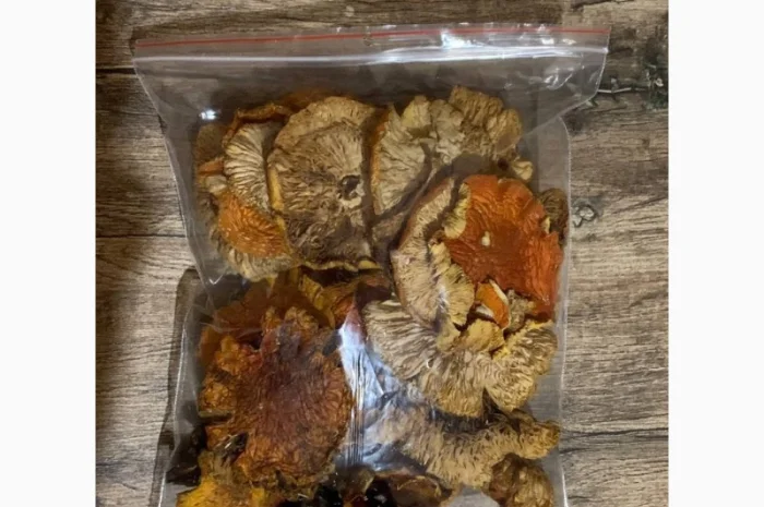 Сушені мухомори сушена шапочка мухомора- фото № 3