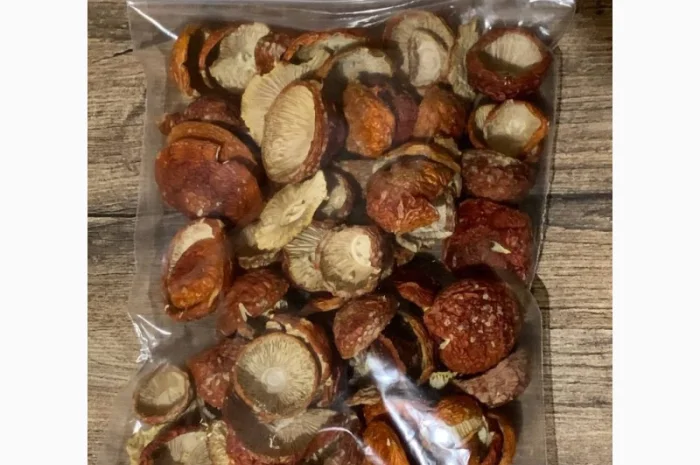 Шапочка червоного мухомора, разные сорта- фото № 3