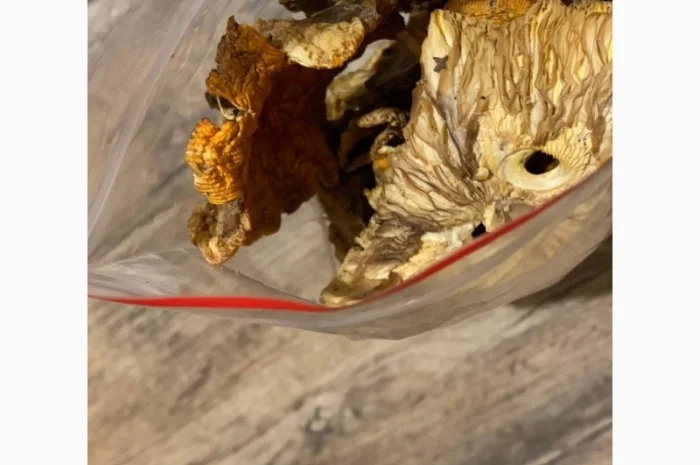 Сушені мухомори 4-го сорту на продаж- фото № 1