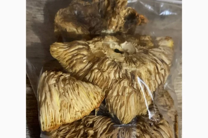 Сушені мухомори 4-го сорту на продаж- фото № 2