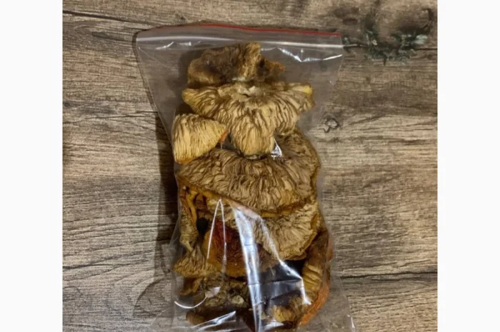 Сушені мухомори 4-го сорту на продаж- фото № 3