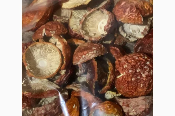 Сушеные красные мухоморы 1 сорт, продажа от 50 грамм- фото № 4