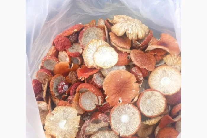 Сушені червоні мухомори, несортовані, оптом- фото № 1