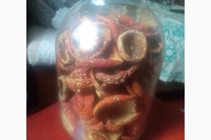 Мухомор червоний сушений на продаж- фото № 1